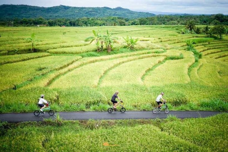volcano-bike-tour