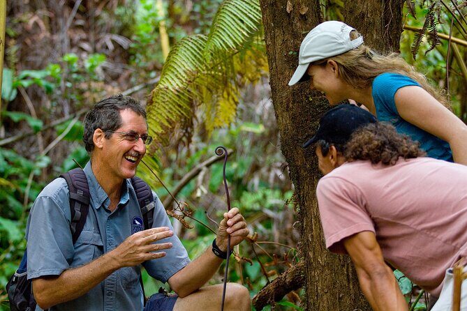 Volcano, Chocolate and Waterfalls of the Big Island - Challenges and Considerations