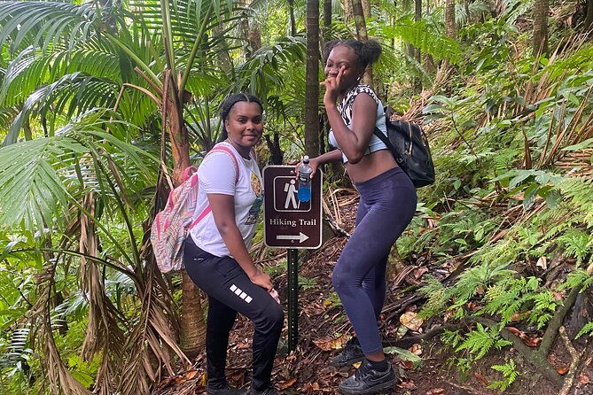 volcano-hike-to-mt-liamuiga-highest-peak-on-island