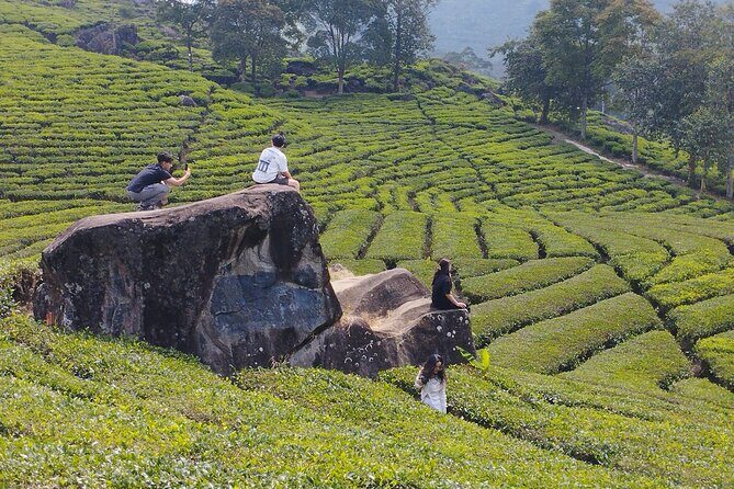 Volcano Mountain Private Car Tour White Crater Bandung - Key Points