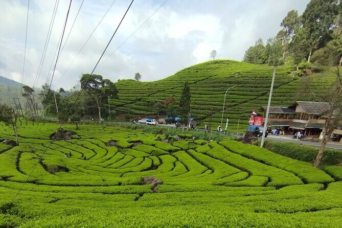 Volcano Mountain Private Car Tour White Crater Bandung - Pricing & Value