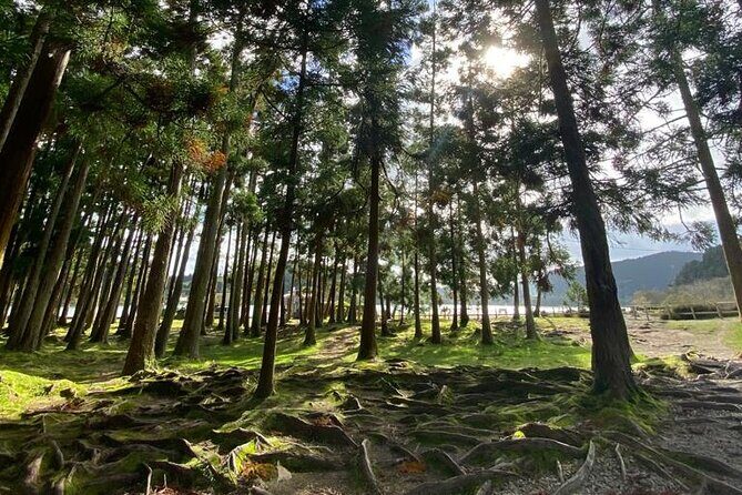 Volcano of Fogo and Furnas Private Tour - Practical Tips for Your Fogo and Furnas Private Tour