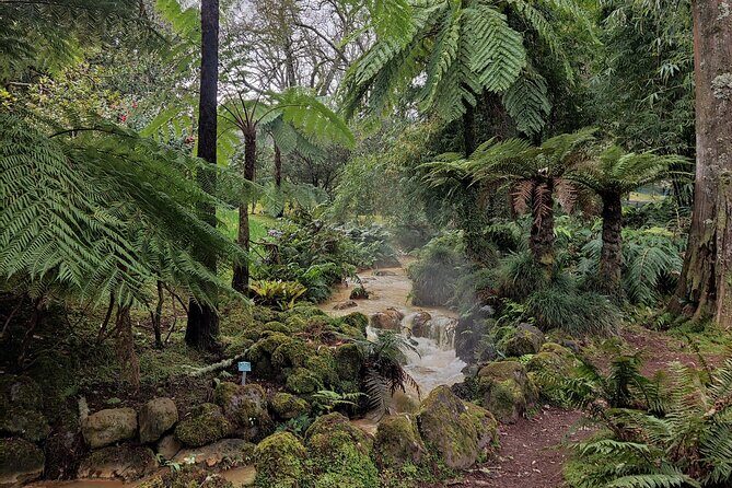 Volcano of Fogo and Furnas Private Tour - FAQ
