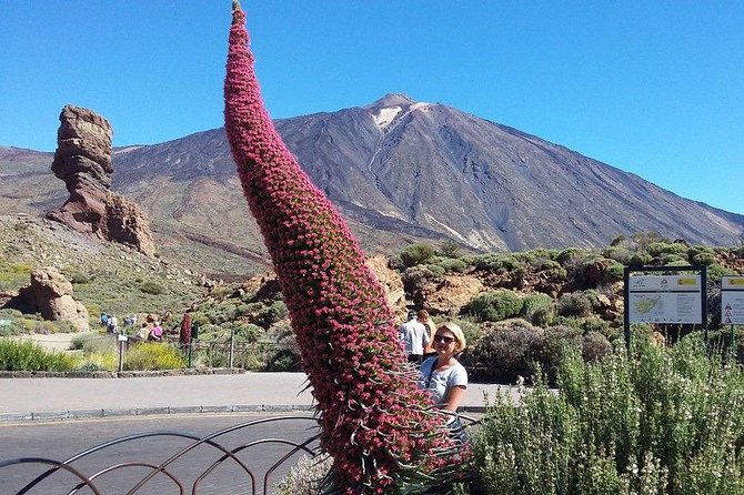volcano-teide-masca-ravine-guided-tour-from-puerto-de-la-cruz-tenerife