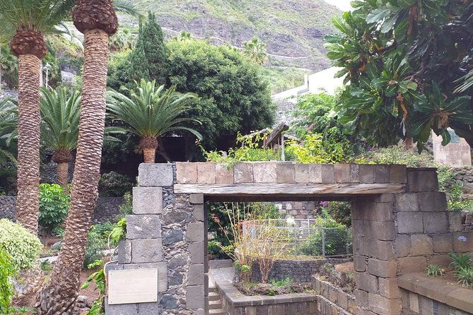 volcano-teide-national-park-and-north-of-the-island-vip-tour