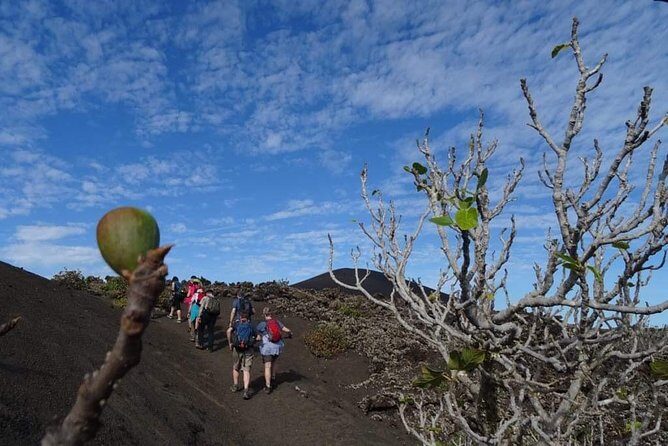 Volcano Trekking Tour (Timanfaya eruptions) - Who Should Consider This Tour?