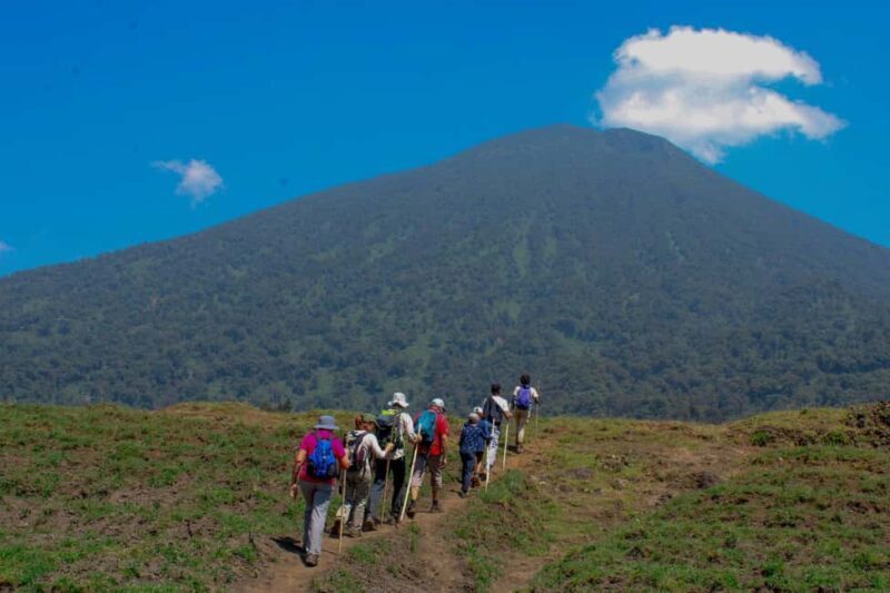 Volcanoes National Park: One-Day Bisoke Hiking Adventure - An In-Depth Look at the Volcanoes National Park: Bisoke Hiking Experience