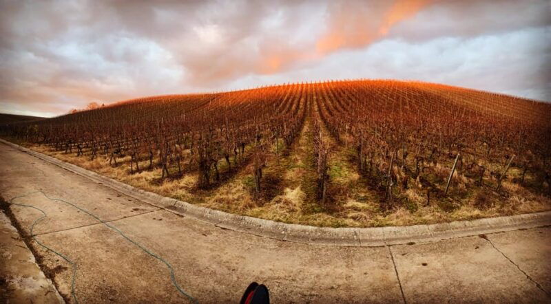 volkach-fahr-wine-spirit-rebellion-wine-hike