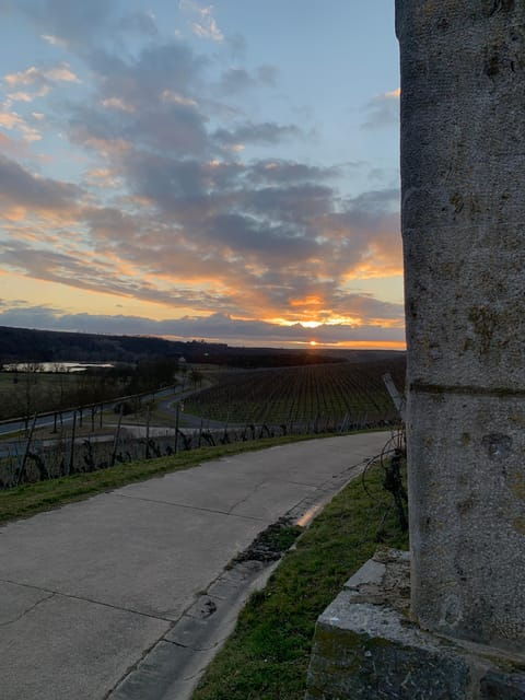 volkach-fahr-wine-spirit-rebellion-wine-hike