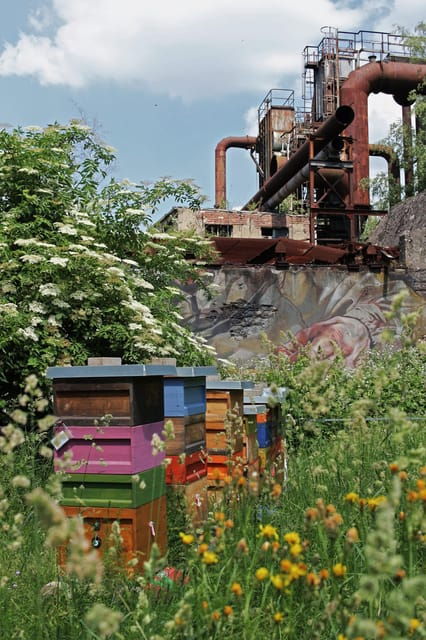 volklingen-volklingen-ironworks-world-heritage-site-ticket