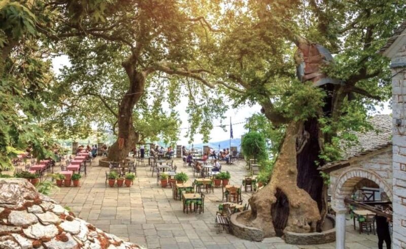 Volos Small Group Tour: Pelion Villages & Wine Tasting - The Experience of the Wine Tasting