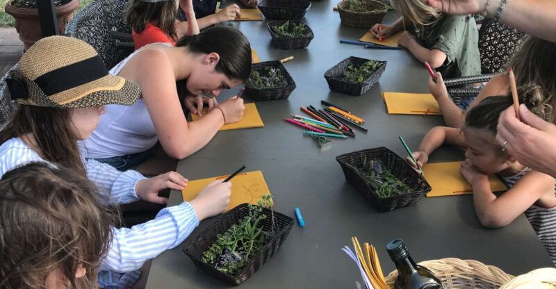 volterra-family-friendly-herbal-laboratory-workshop