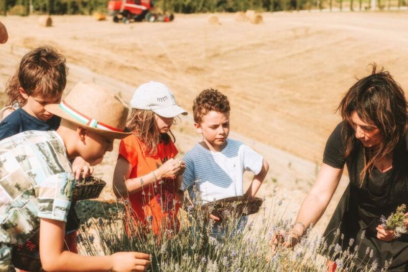 volterra-family-friendly-herbal-laboratory-workshop