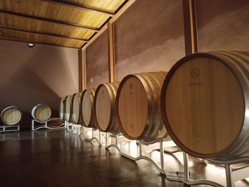 Volterra: Winery Guided Tour and Experience with Tasting - An In-Depth Look at the Winery Tour