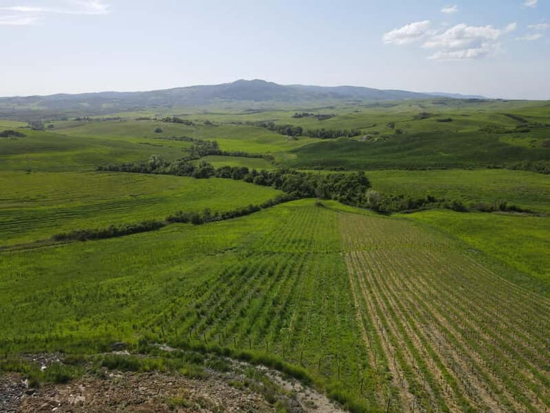 Volterra: Winery Guided Tour and Experience with Tasting - Who Should Consider This Tour?