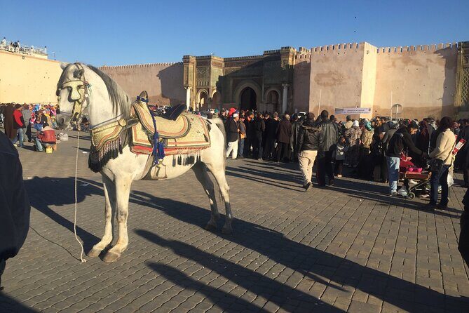 Volubilis, Meknes, Moulay Idriss: Full Day Private Tour from Fes, Morocco - FAQs