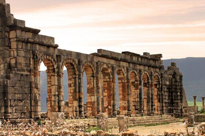 Volubilis, Moulay Idriss and Meknes day trip from Fes - Practical Tips for Travelers