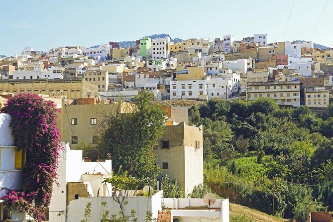 Volubilis, Moulay Idriss and Meknes Day Trip from Fez - What Makes This Tour Stand Out?