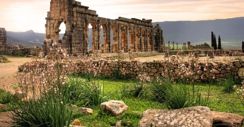 Volubilis Moulay Idriss and Meknes Day Trip with Small Group - Key Points