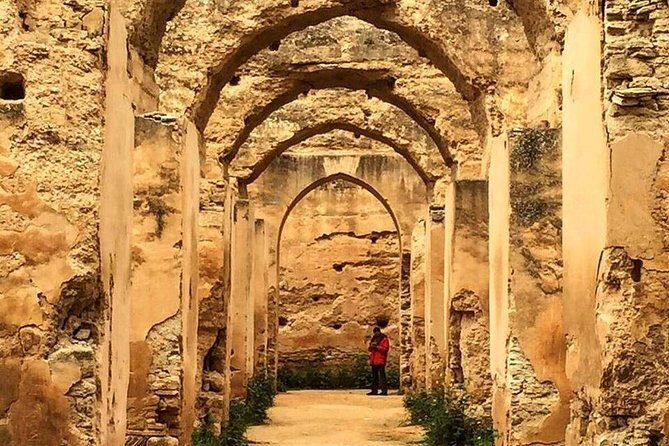 Volubilis, Moulay Idriss & Meknes Excursion from Fez - What Travelers Are Saying