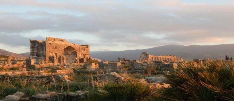 Volubilis: Private Day Trip from Fez To Volubilis and Meknes - Who Should Consider This Tour?