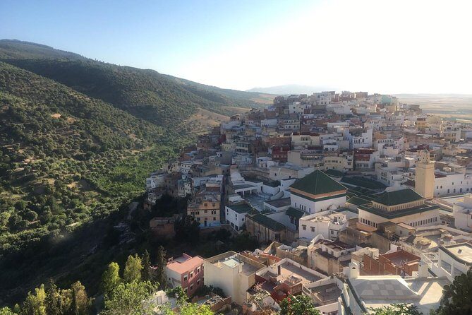 Volubolus Day Trip From Fes - The Value of This Experience