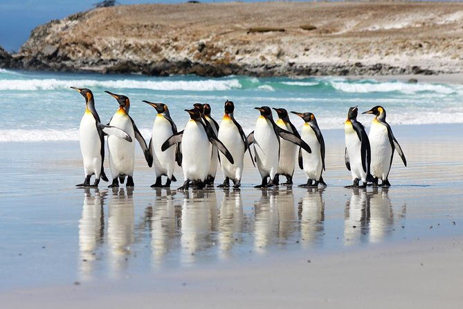 volunteer-point-in-falkland-islands
