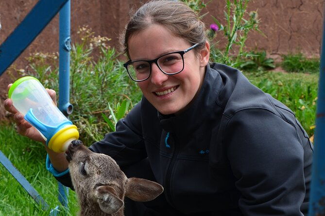 voluntering-at-the-cochahuasi-sanctuary