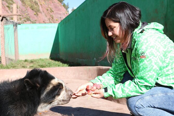 voluntering-at-the-cochahuasi-sanctuary