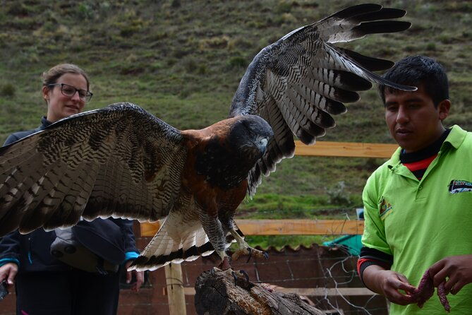 voluntering-at-the-cochahuasi-sanctuary