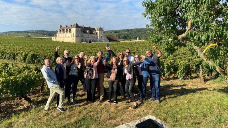 vosne-romanee-private-vineyards-walking-tour-with-tasting