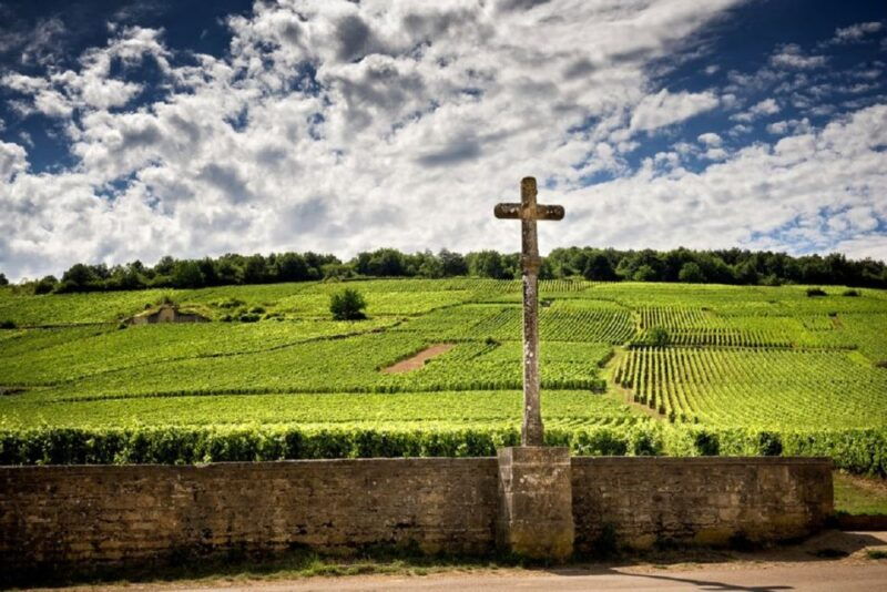 vosne-romanee-private-vineyards-walking-tour-with-tasting