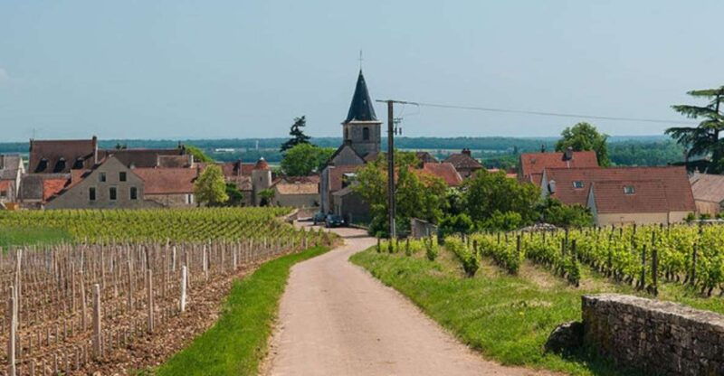 vosne-romanee-private-vineyards-walking-tour-with-tasting