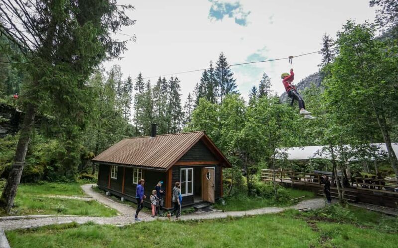 Voss High Rope Course: Mini & Micro Course - Key Points