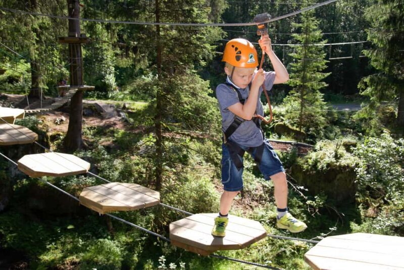 Voss High Rope Course: Mini & Micro Course - Exploring the Voss High Rope Course in Detail