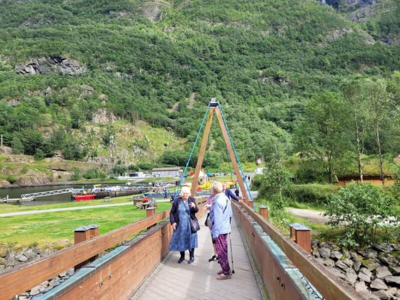 Voss: Tvindefossen Waterfalls Gudvangen & Flam Tour - Final Thoughts  