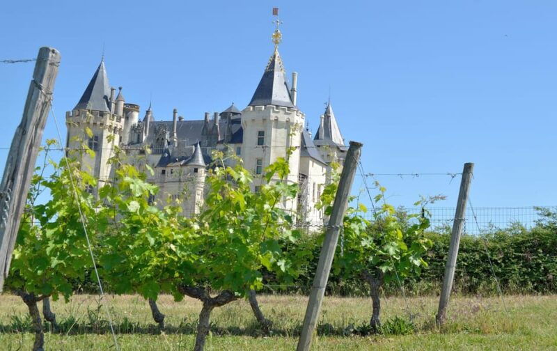 vouvray-wine-half-day-tour-from-tours