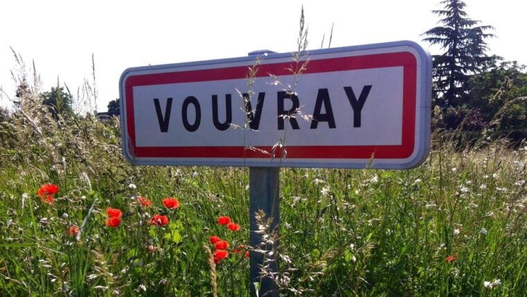 vouvray-wine-half-day-tour-from-tours
