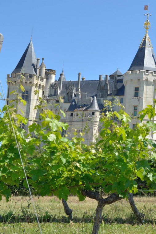 vouvray-wine-half-day-tour-from-tours