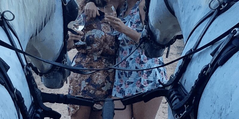 Vrede en Lust Wine Estate: 1H30M Carriage Ride & Wine Taste - Key Points