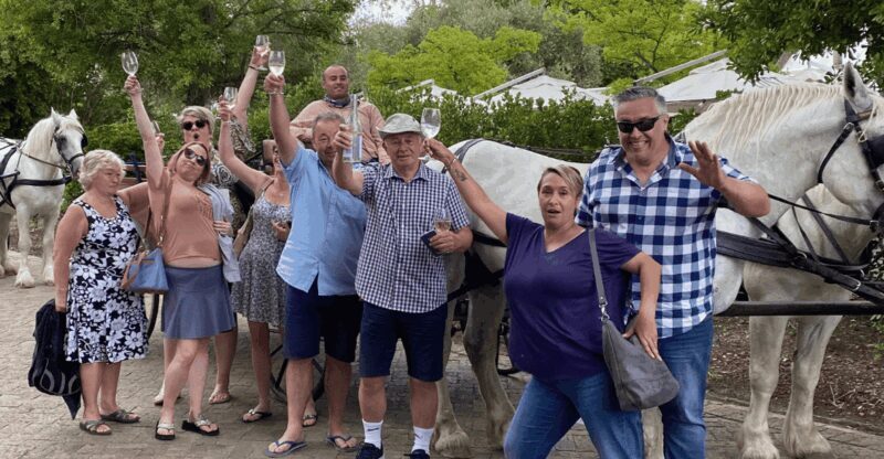 Vrede en Lust Wine Estate: 1H30M Carriage Ride & Wine Taste - Exploring the Experience: What to Expect