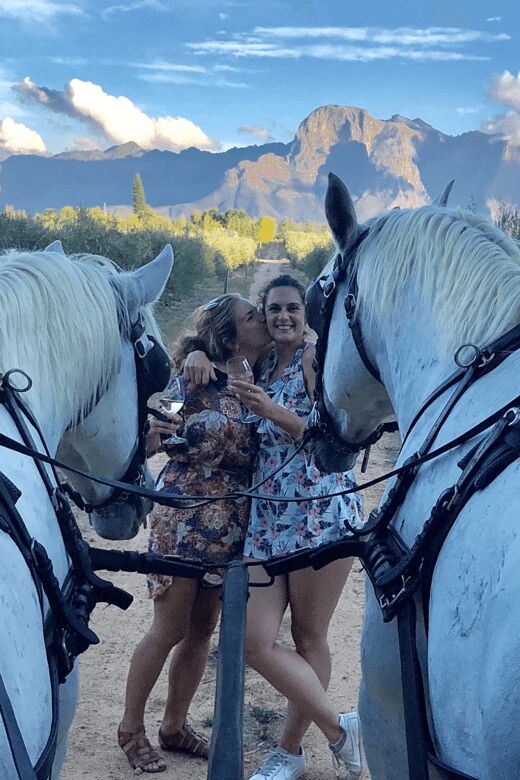 Vrede en Lust Wine Estate: 1H30M Carriage Ride & Wine Taste - Practical Details and Considerations