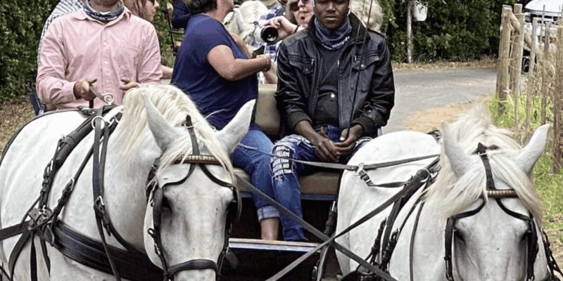 Vrede en Lust Wine Estate: 1H30M Carriage Ride & Wine Taste - Final Thoughts: Who Will Love This Tour?