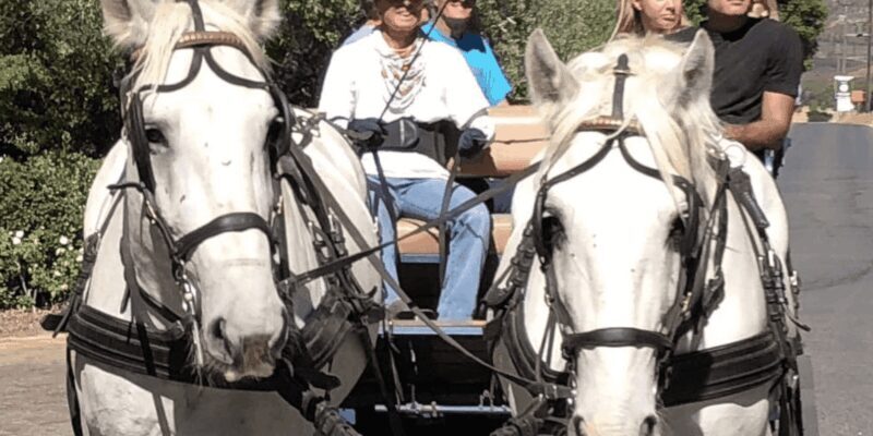 Vrede en Lust Wine Estate: 1H30M Carriage Ride & Wine Taste - FAQ