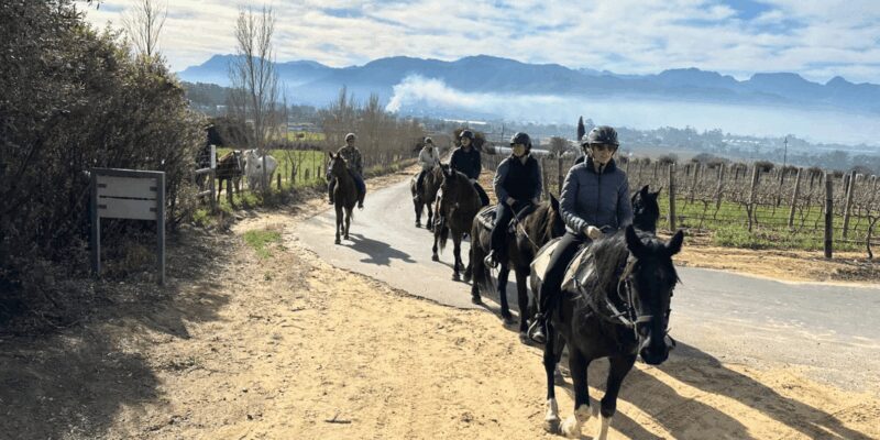 Vrede en Lust Wine Estate: 2H Horse Trail - Vrede en Lust Wine Estate: 2H Horse Trail Review