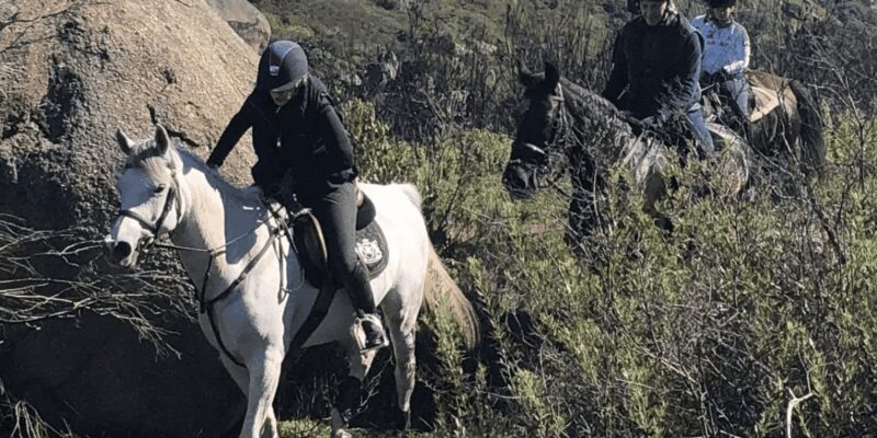 Vrede en Lust Wine Estate: 2H Horse Trail - Guides and Experience Quality