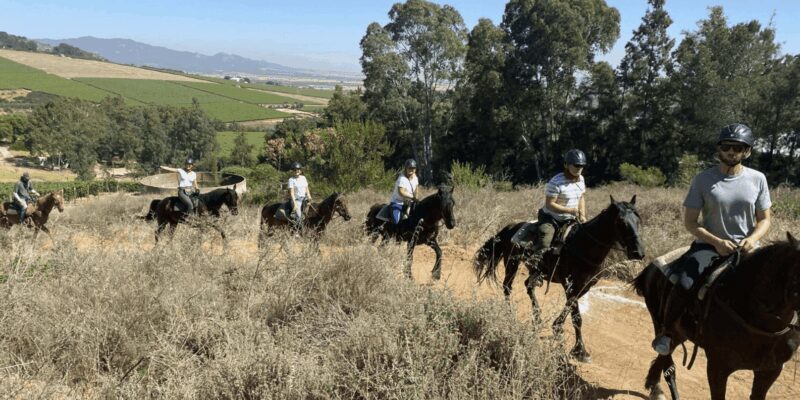 Vrede en Lust Wine Estate: 2H Horse Trail - The Scenic Value and Wildlife