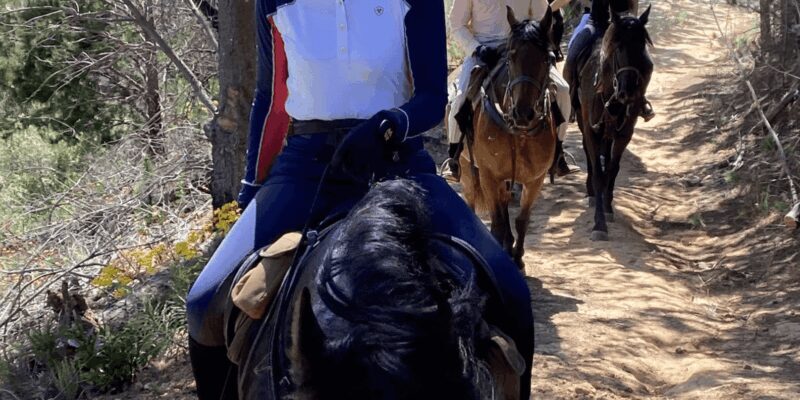 Vrede en Lust Wine Estate: 2H Horse Trail - Post-Ride Relaxation at Lust Bistro & Bakery