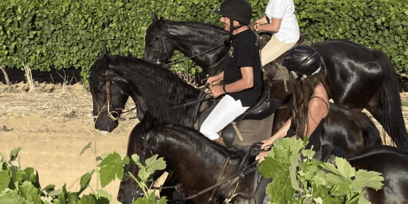 Vrede en Lust Wine Estate: 2H Horse Trail - Practical Details and Tips for Visitors