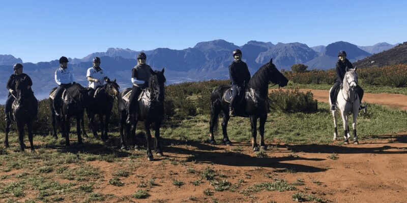 Vrede en Lust Wine Estate: 2H Horse Trail - Why Choose This Experience?